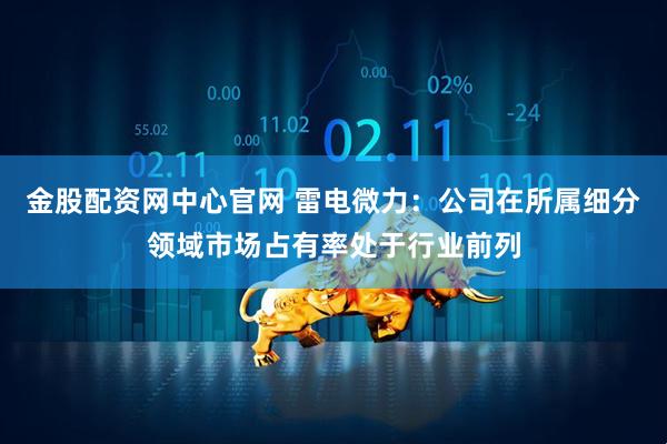 金股配资网中心官网 雷电微力：公司在所属细分领域市场占有率处于行业前列